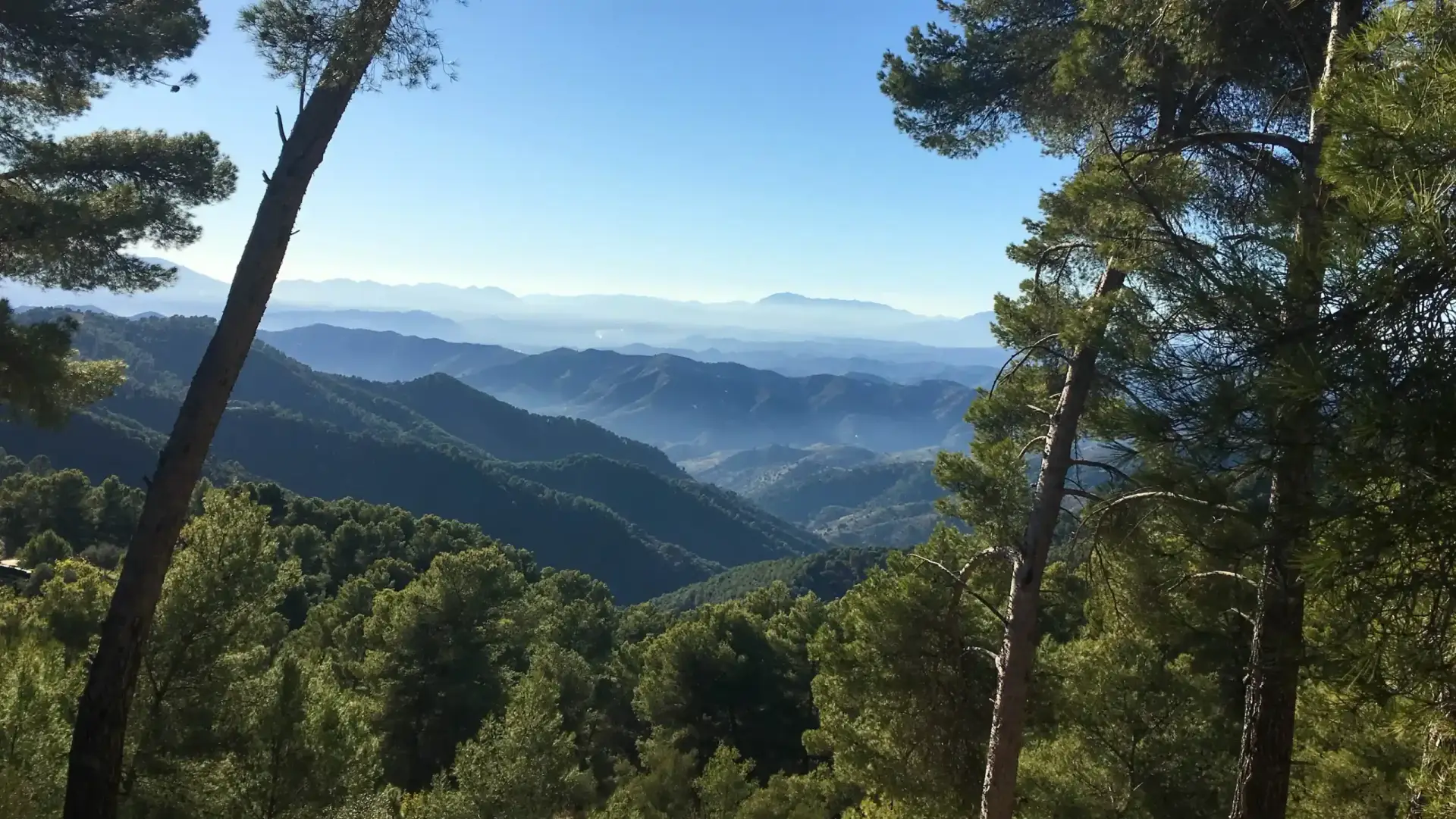 Parque Natural Montes de Málaga